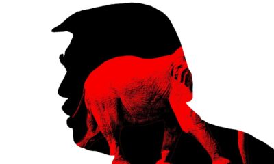 Former Trump Allies Signal Shifts Within MAGA Movement